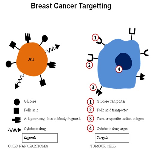 Missing Breast Cancer Targetting Image